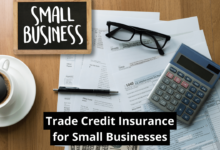Trade Credit Insurance for Small Businesses