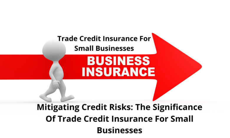 trade credit insurance for small businesses