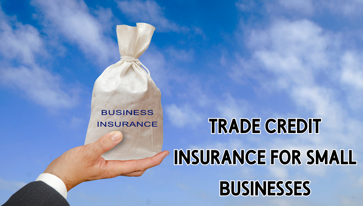 Trade Credit Insurance For Small Businesses